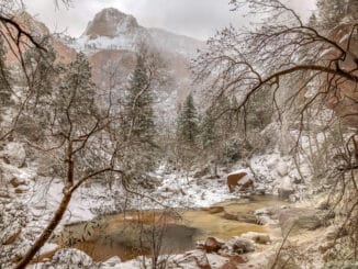 Lower Emerald Pool Zion NP