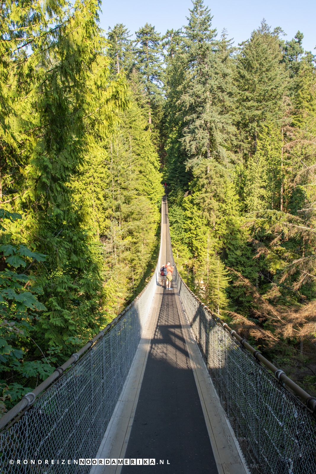 Capilano Suspension Bridge Park Rondreizen NoordAmerika