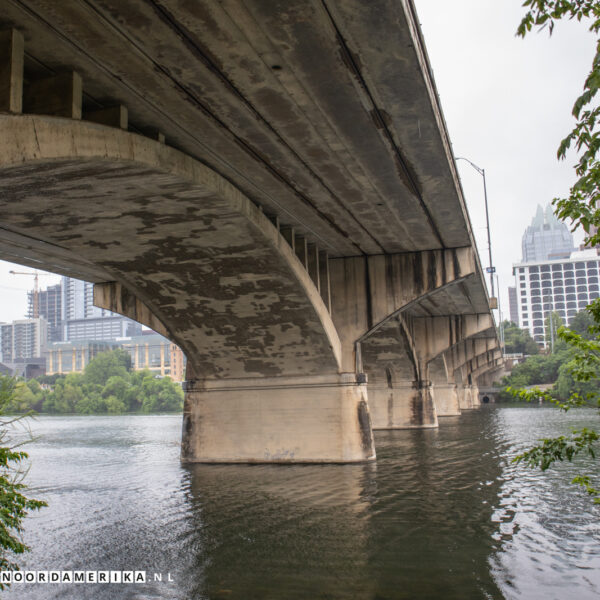 Bat Viewing Site Austin