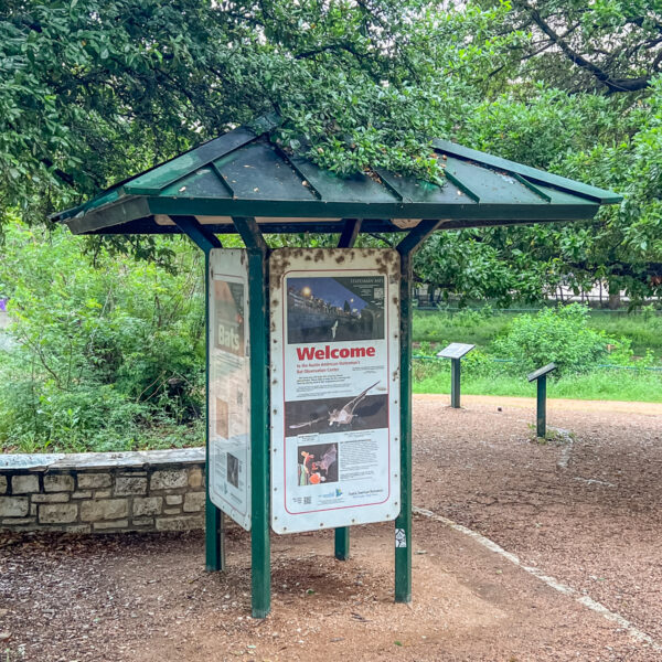 Bat Viewing Site Austin