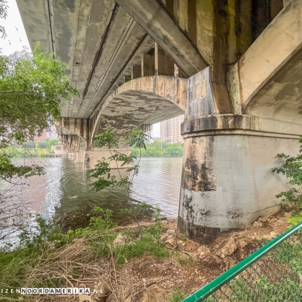 Bat Viewing Site Austin