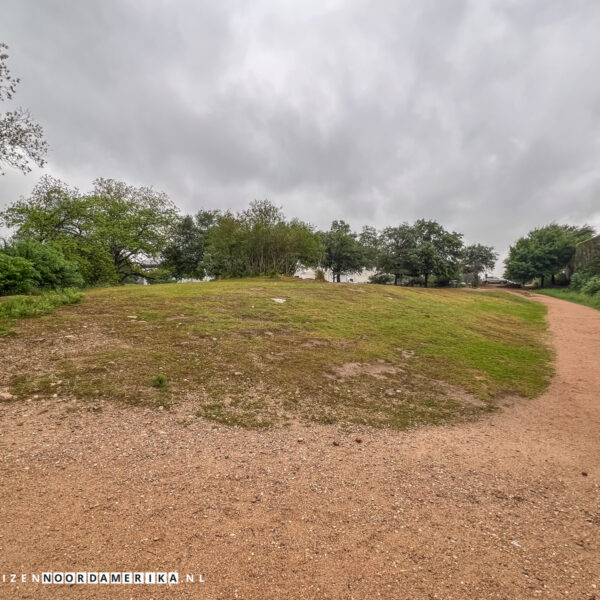 Bat Viewing Site Austin