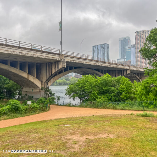 Bat Viewing Site Austin