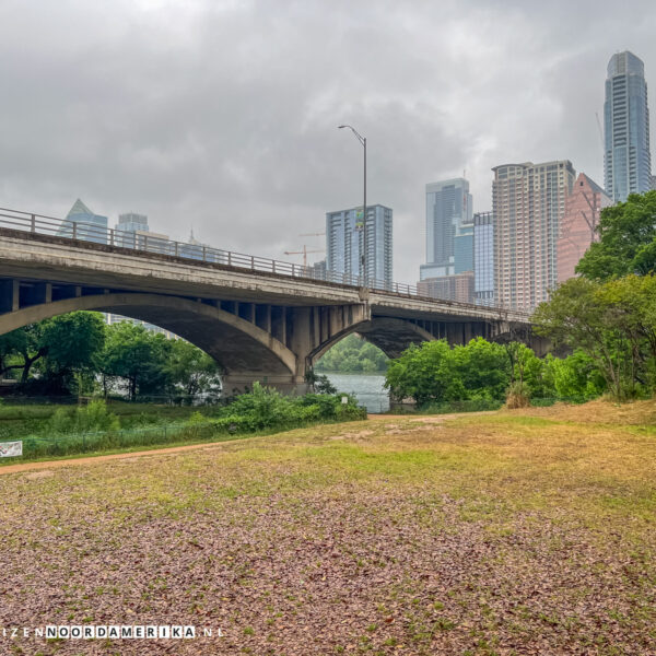 Bat Viewing Site Austin