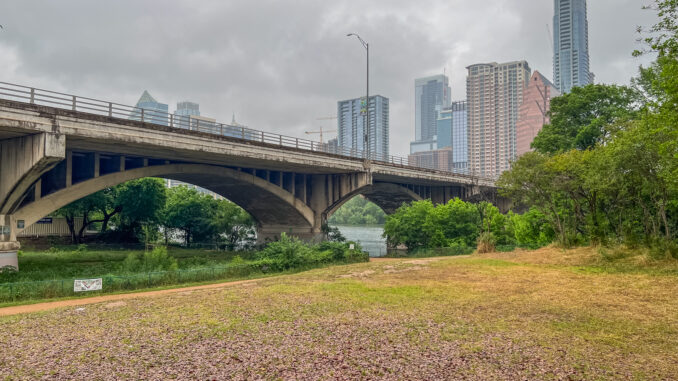 Bat Viewing Site Austin