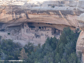 Cliff Palace Mesa Verde National Park